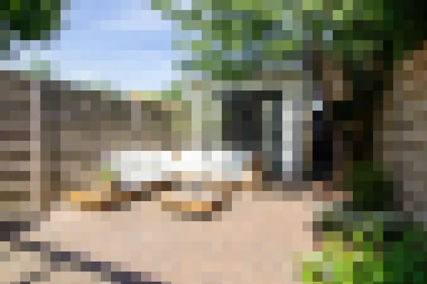 Leidsestraat 63 Haarlem thumbnail 11