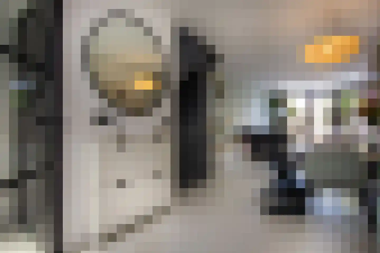 Leidsestraat 63 Haarlem thumbnail 4