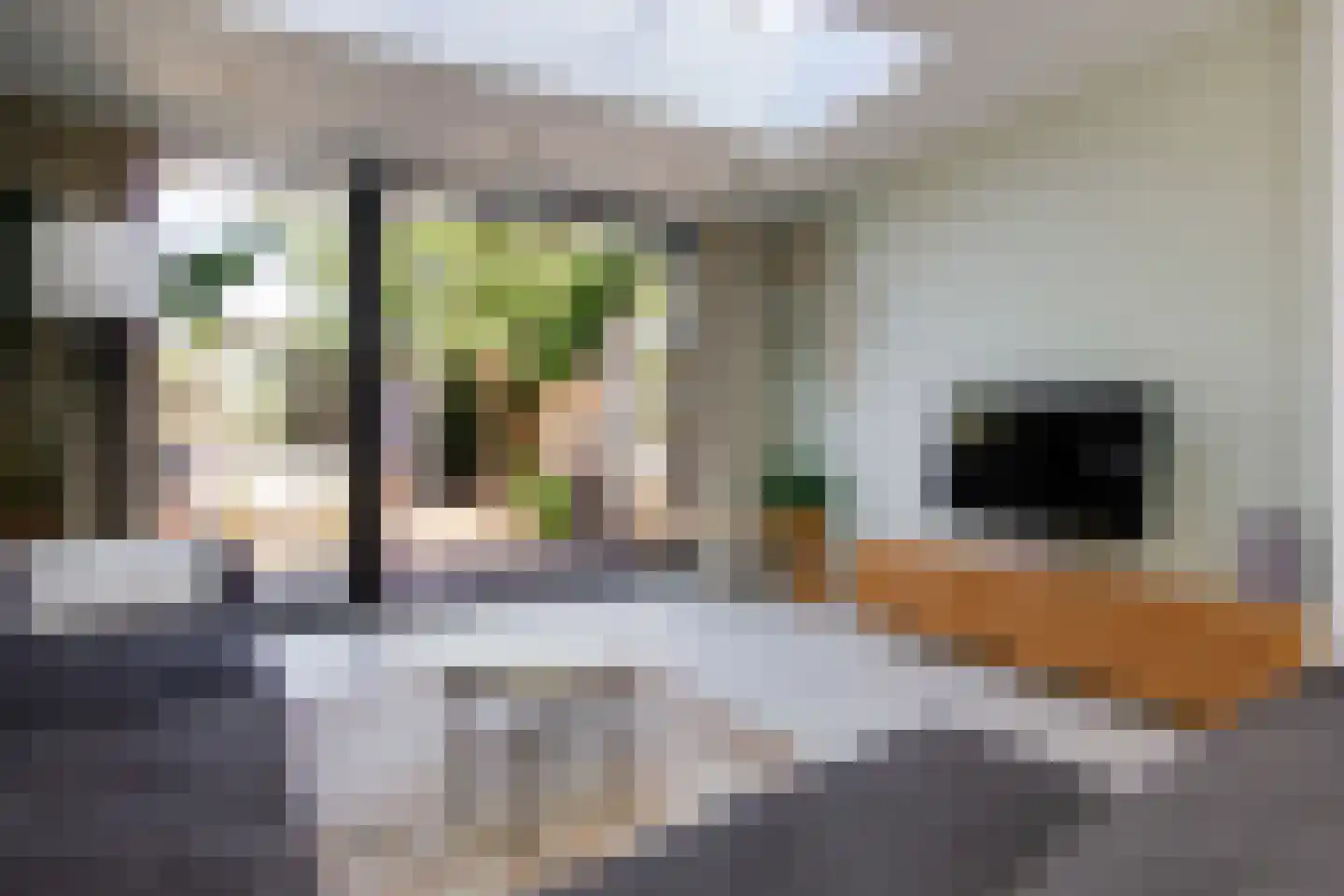 Leidsestraat 63 Haarlem thumbnail 7