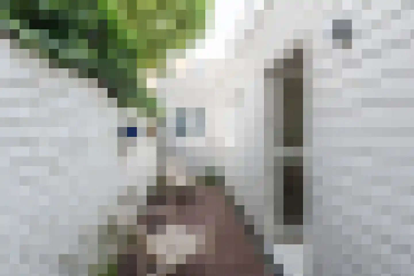 Leidsestraat 64 Haarlem thumbnail 13
