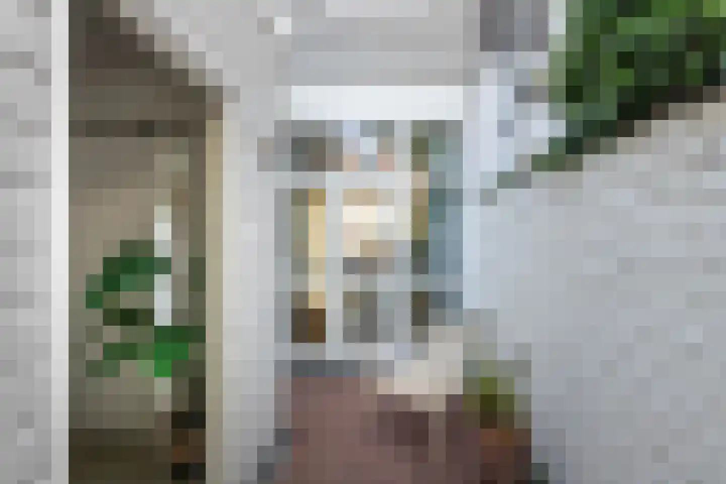 Leidsestraat 64 Haarlem thumbnail 14