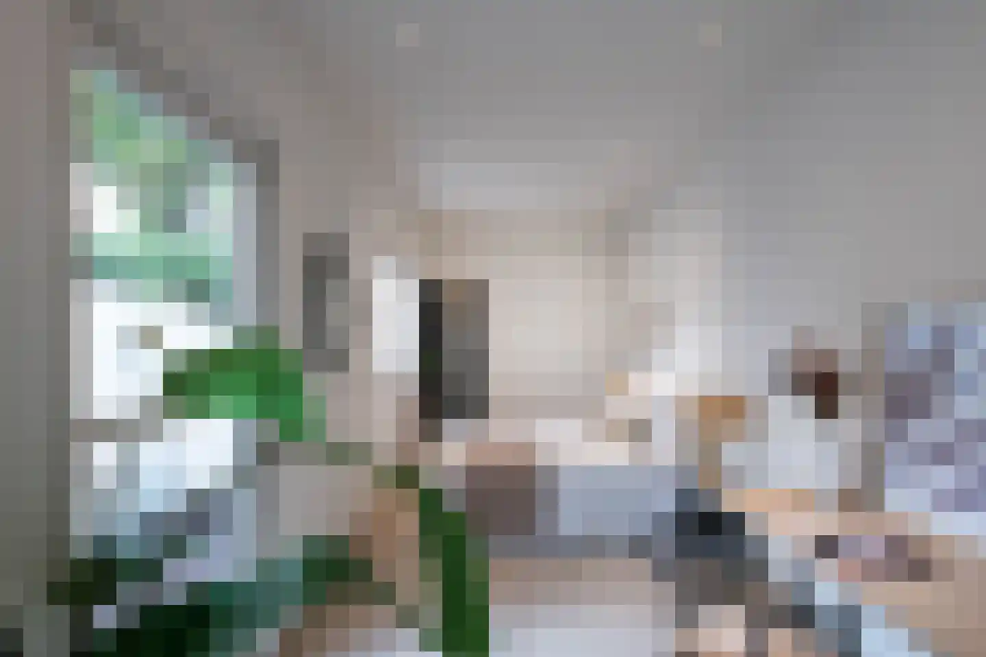 Leidsestraat 64 Haarlem thumbnail 18