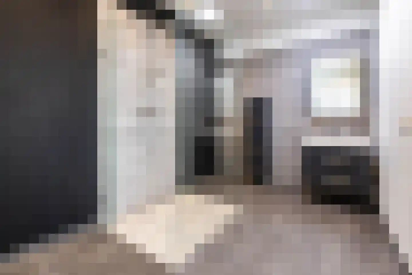 Leidsestraat 64 Haarlem thumbnail 19