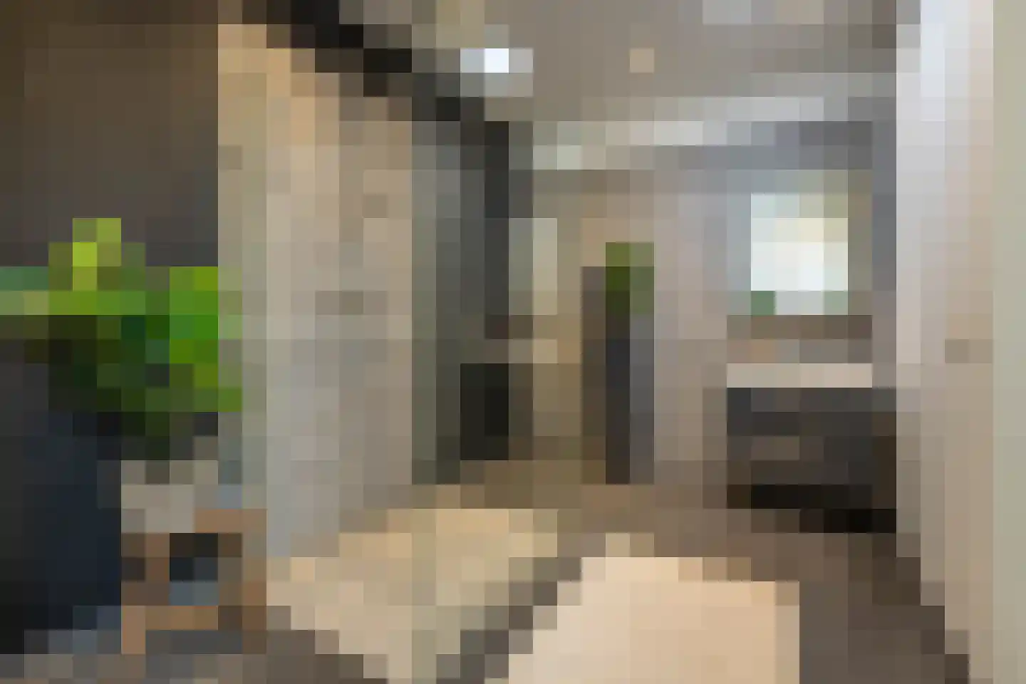 Leidsestraat 64 Haarlem thumbnail 19