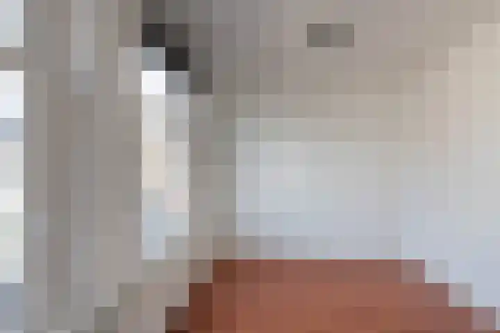 Leidsestraat 64 Haarlem thumbnail 31
