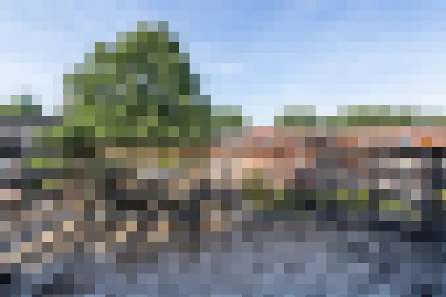 Leidsestraat 64 Haarlem thumbnail 34