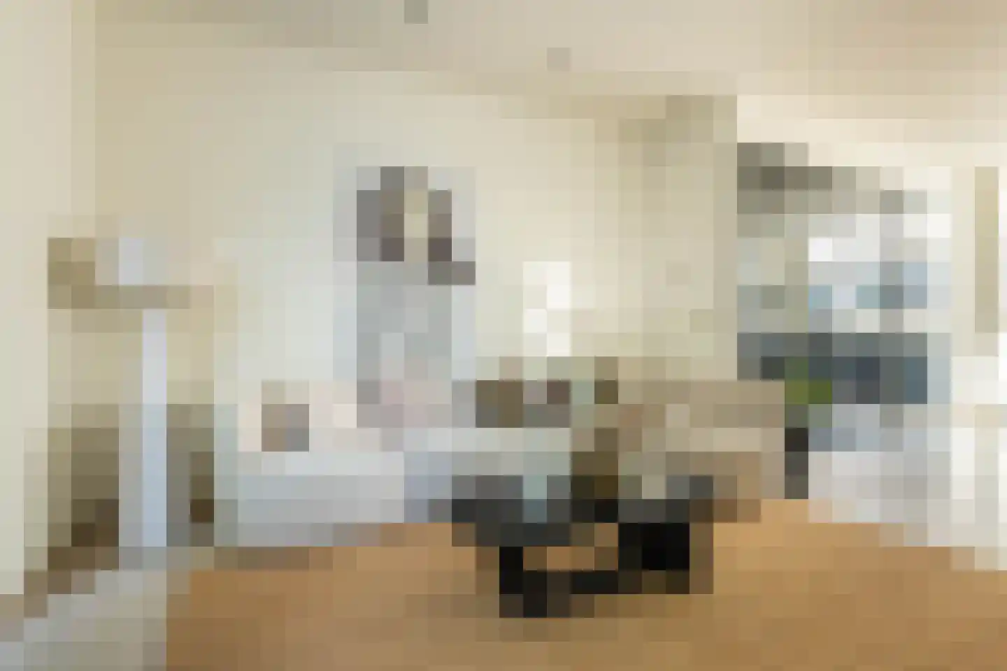 Leidsestraat 64 Haarlem thumbnail 5
