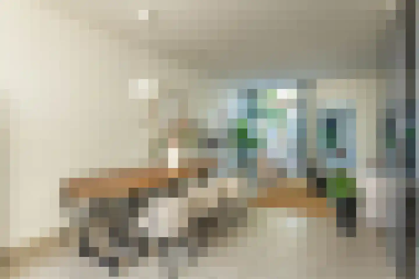 Leidsestraat 64 Haarlem thumbnail 8