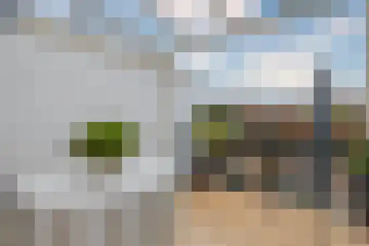 Leidsestraat 65 Hillegom thumbnail 20