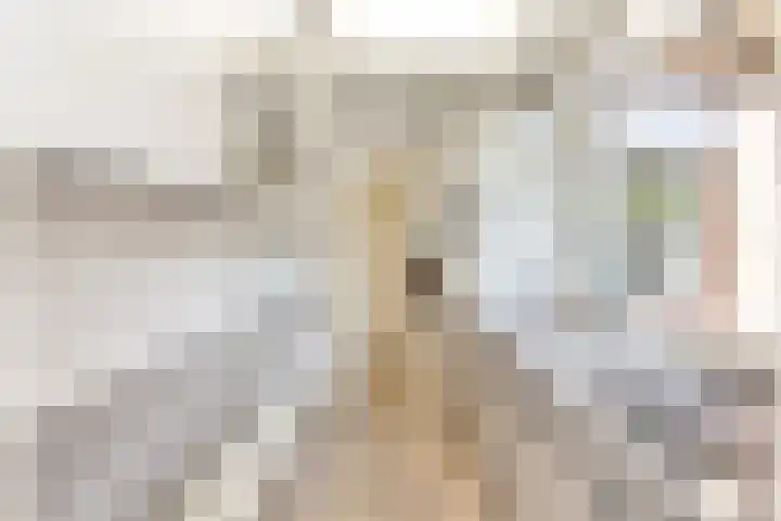 Leidsestraat 72 Haarlem thumbnail 8