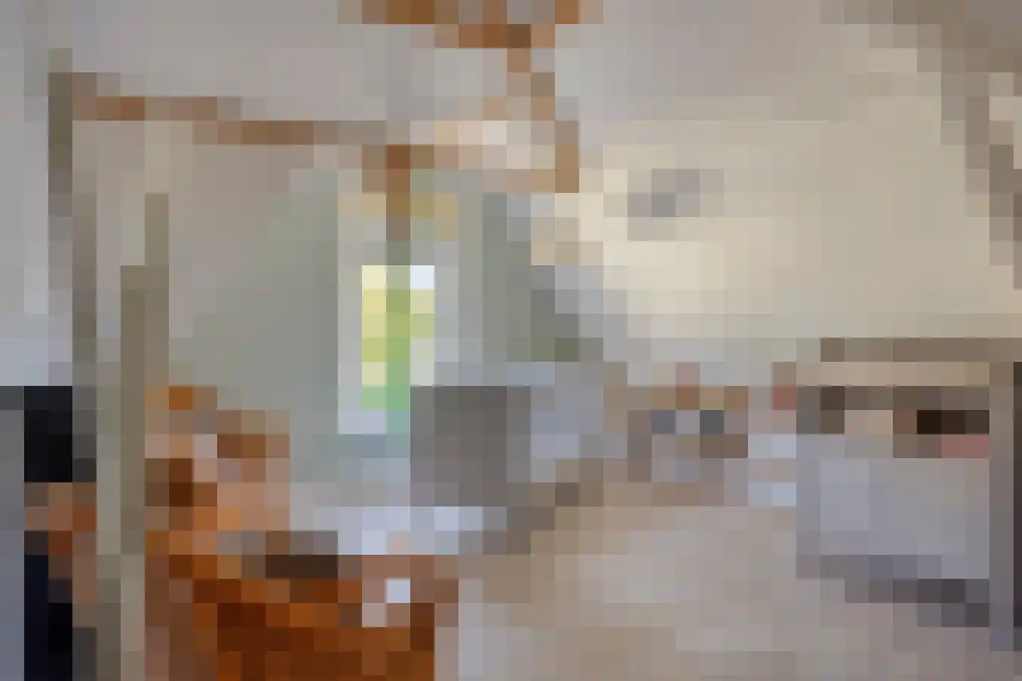 Leidsestraatweg 1 Woerden thumbnail 12