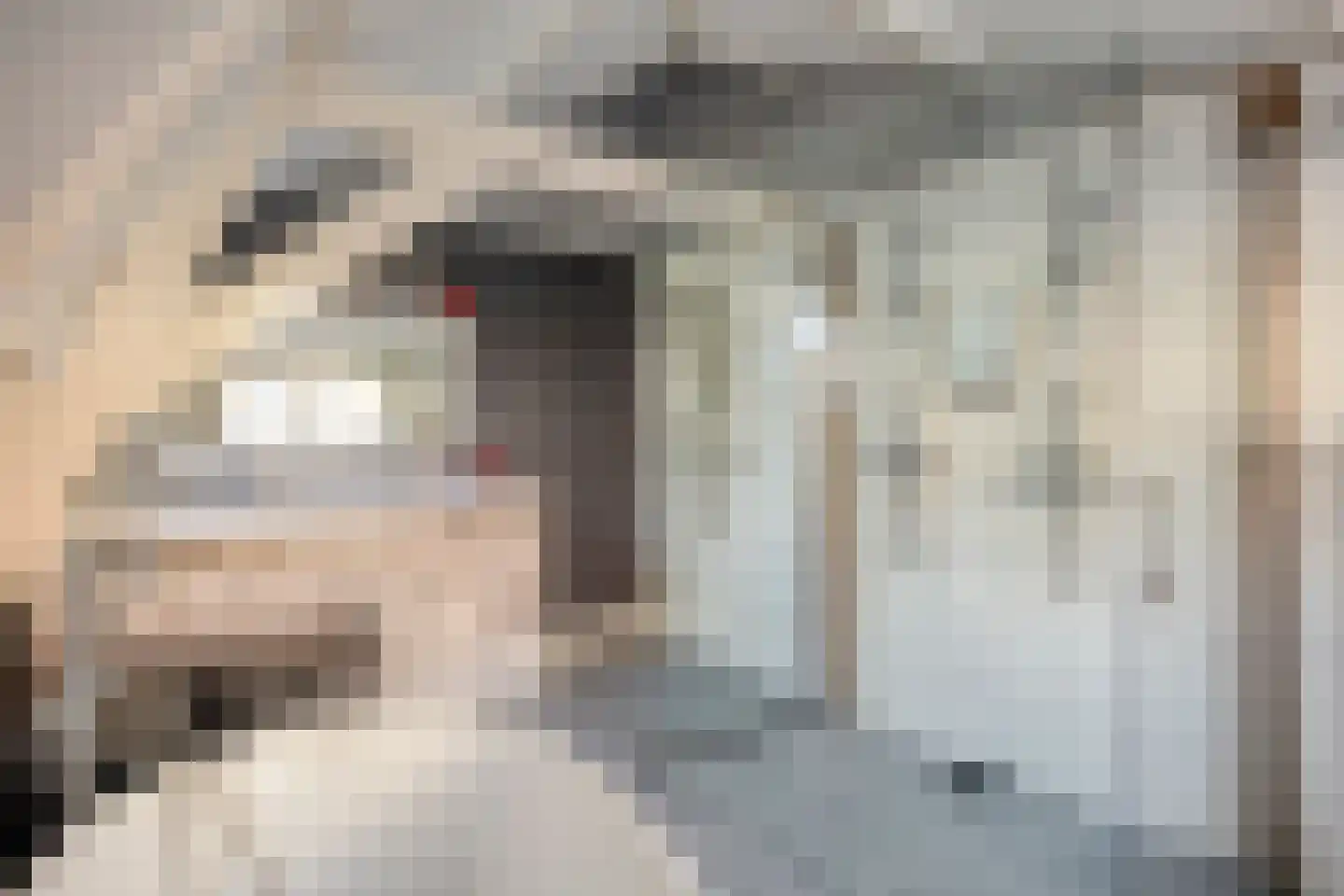 Leidsestraatweg 1 Woerden thumbnail 36