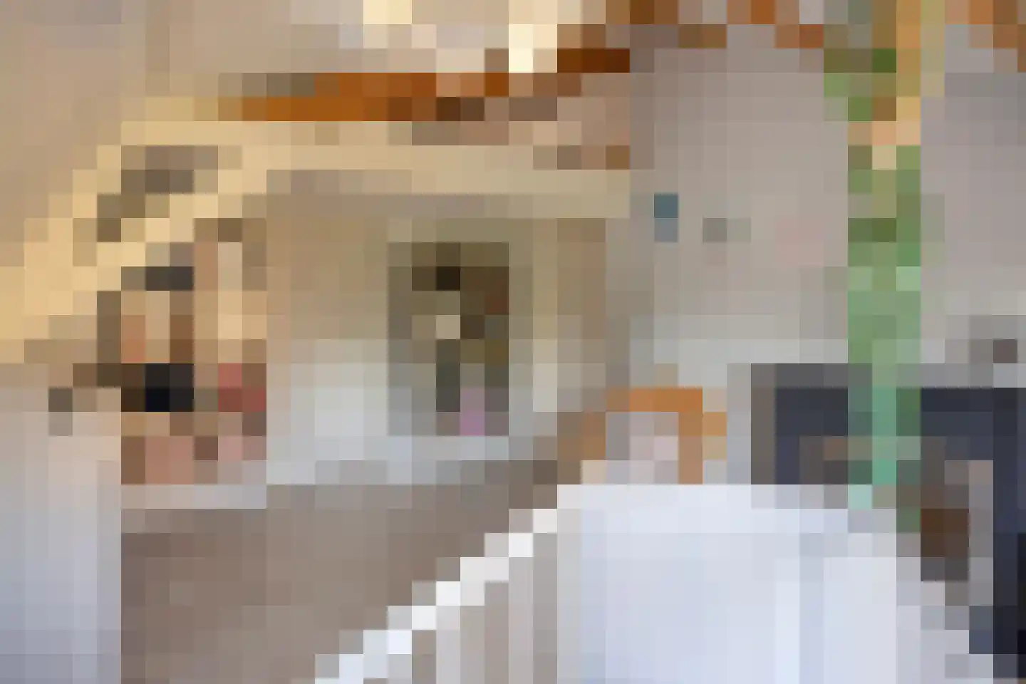 Leidsestraatweg 1 Woerden thumbnail 37