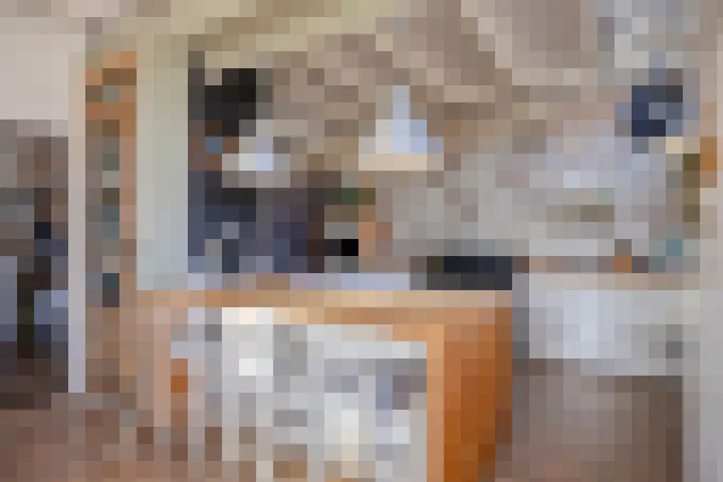 Leidsestraatweg 1 Woerden thumbnail 5