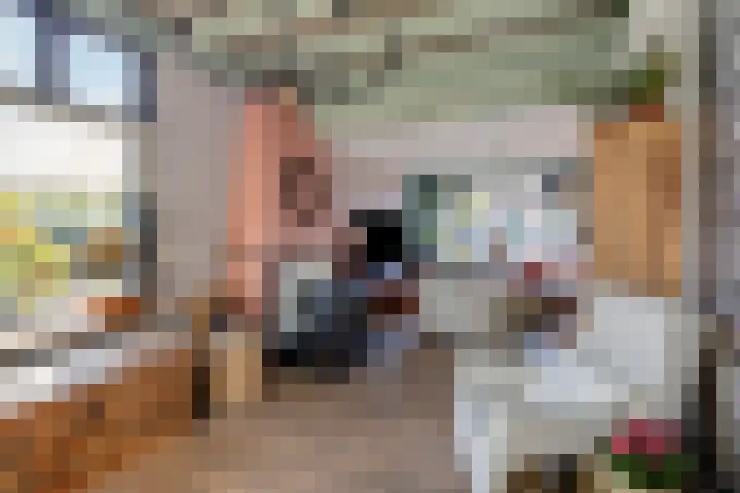 Leidsestraatweg 1 Woerden thumbnail 9