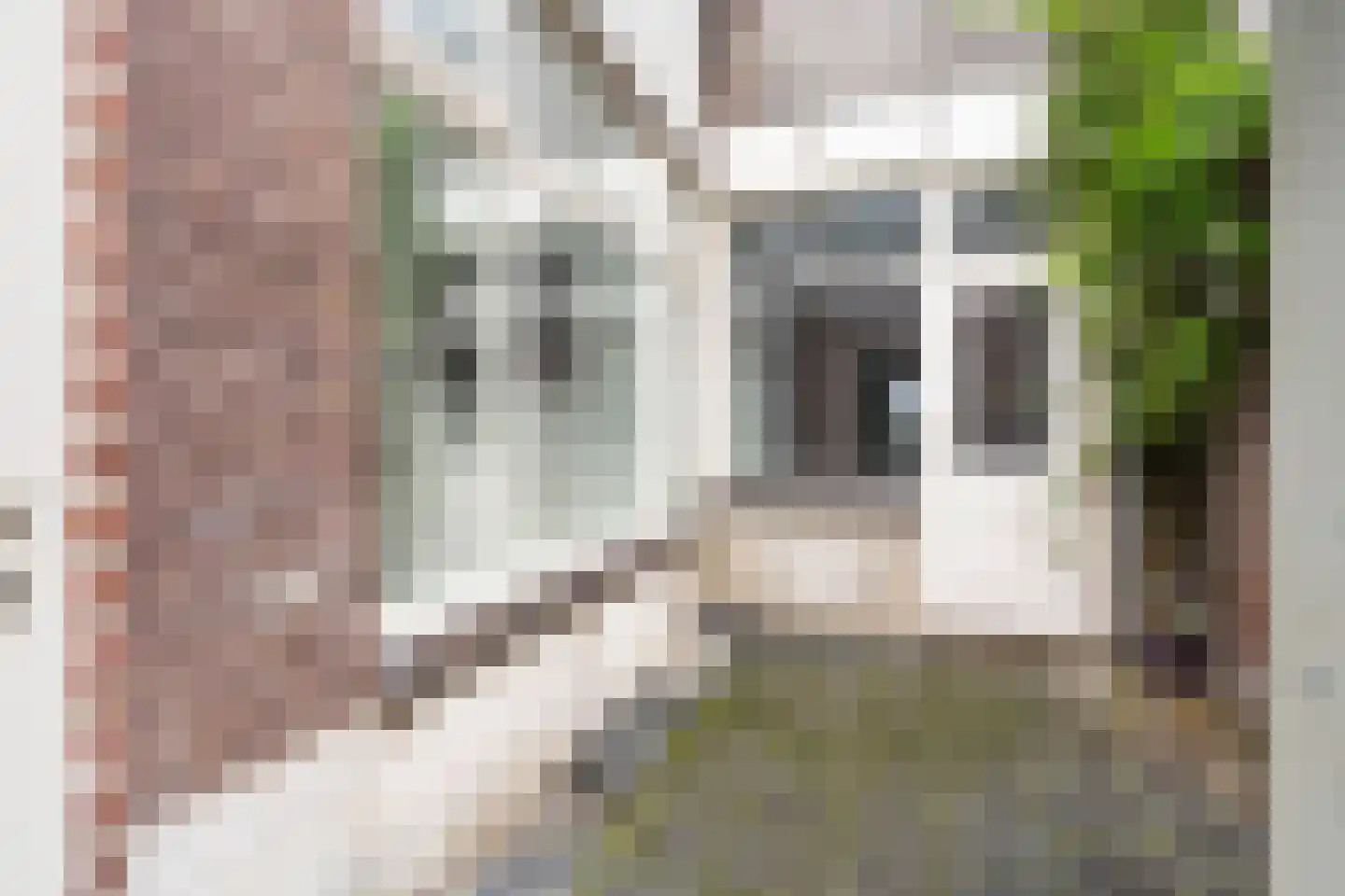 Leidsestraatweg 11 A Woerden thumbnail 14