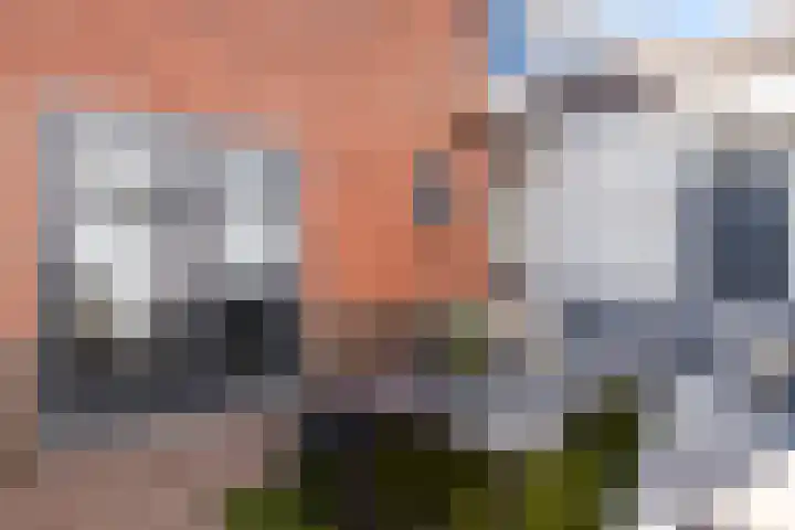 Leidsestraatweg 14 Woerden thumbnail 25