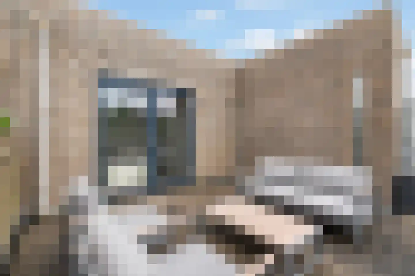 Leidsestraatweg 149 C Woerden thumbnail 20