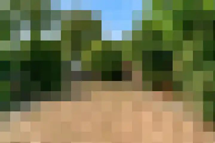 Leidsestraatweg 223 Woerden thumbnail 4