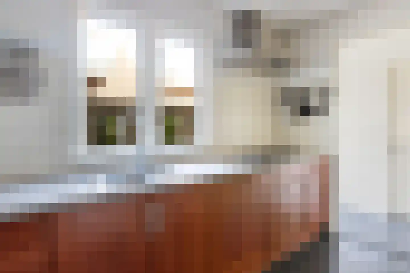 Leidsestraatweg 64 1 Woerden thumbnail 8