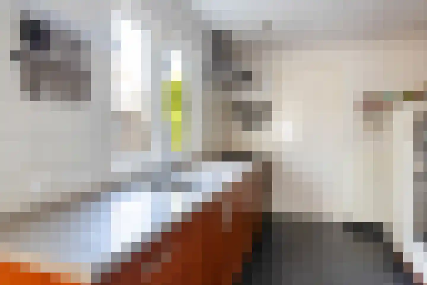 Leidsestraatweg 64 1 Woerden thumbnail 9