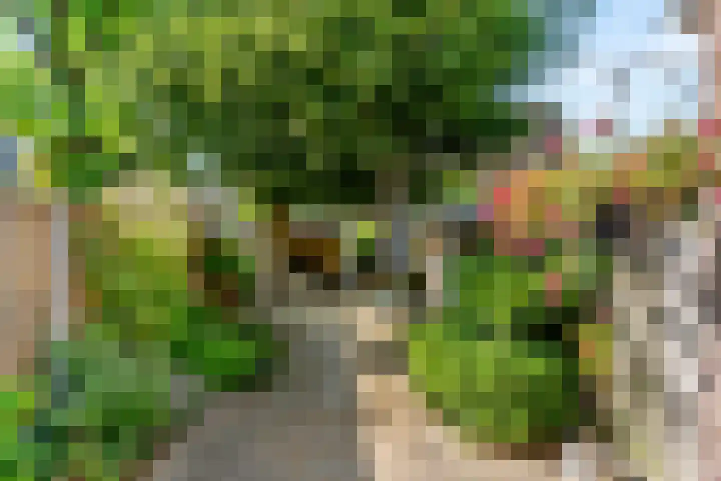 Leidsestraatweg 66 B Woerden thumbnail 4