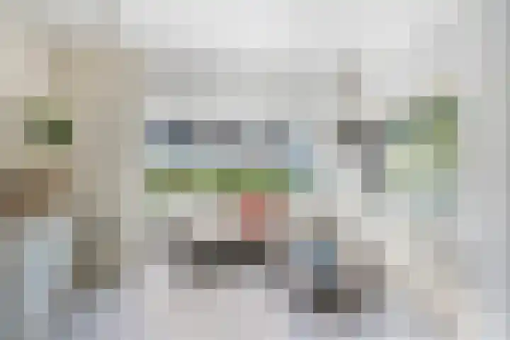 Leidsestraatweg 66 Woerden thumbnail 5