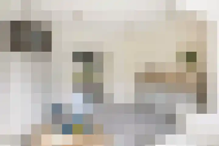 Leidsestraatweg 66 Woerden thumbnail 8