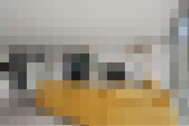 Leidsestraatweg 68 L Woerden thumbnail 12