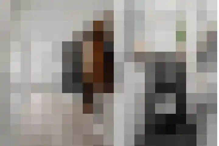 Leidsestraatweg 68 L Woerden thumbnail 5