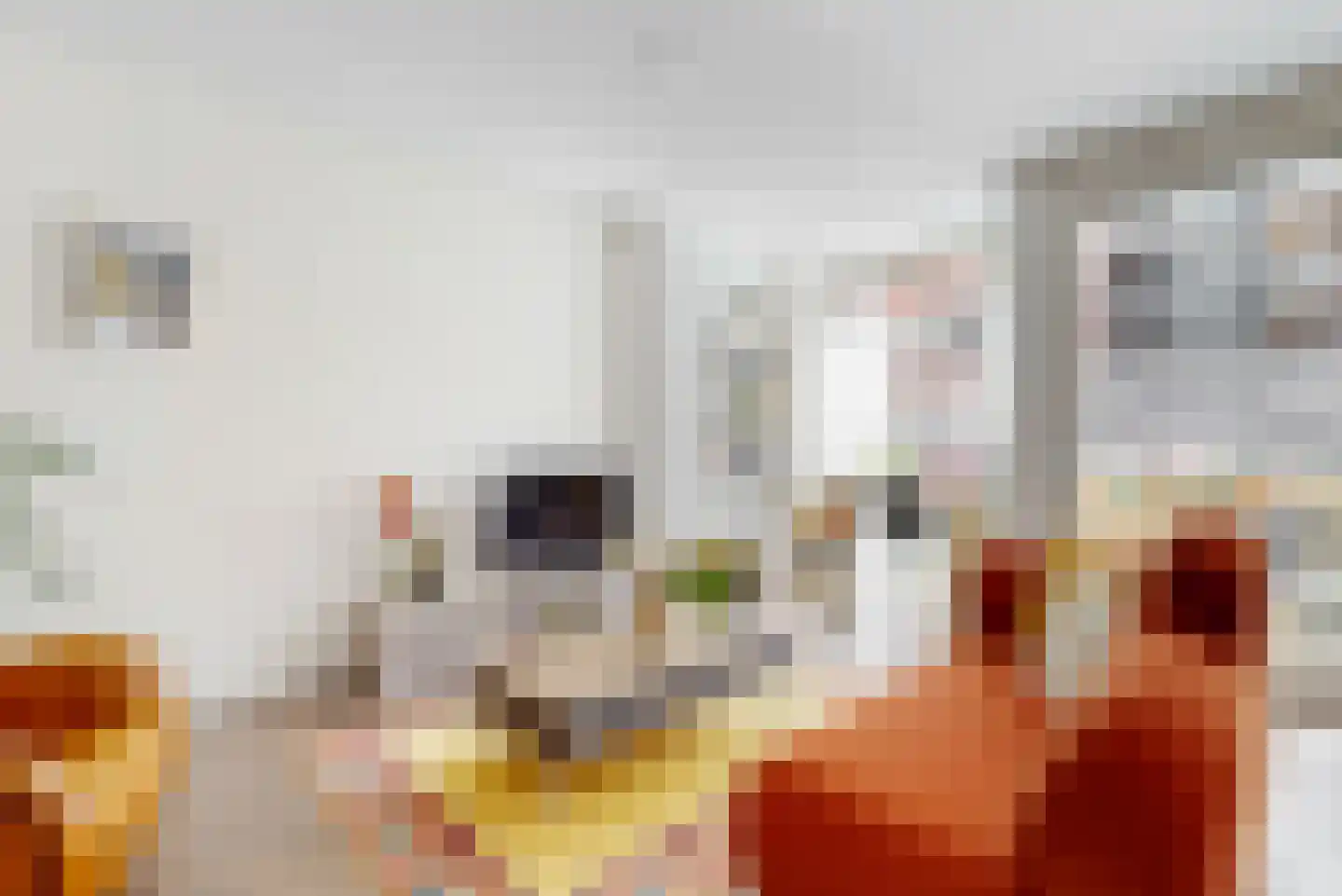 Leidsestraatweg 68 Woerden thumbnail 6