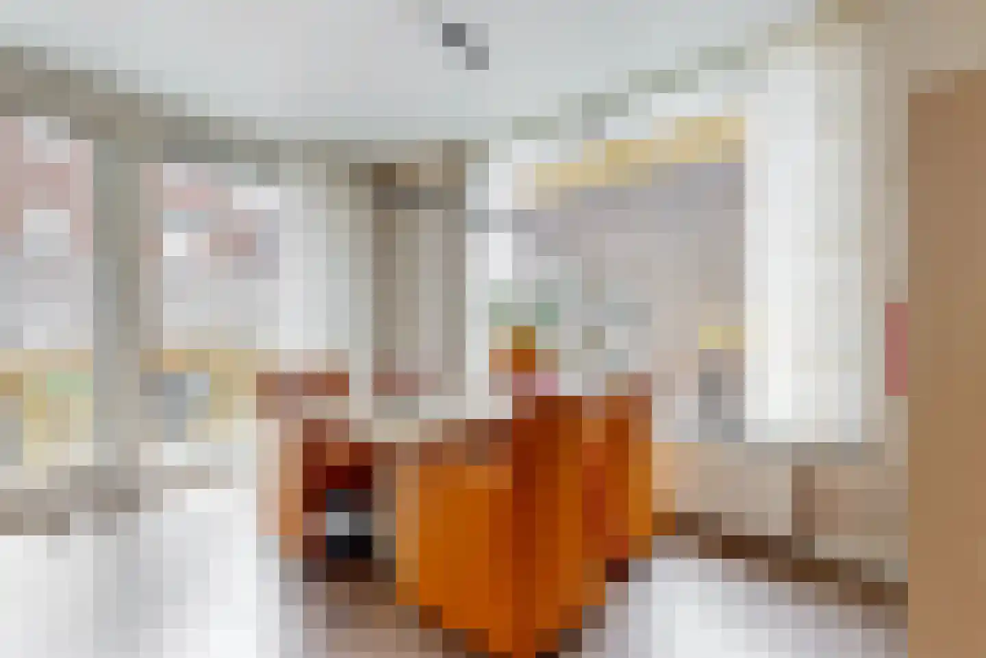 Leidsestraatweg 68 Woerden thumbnail 8