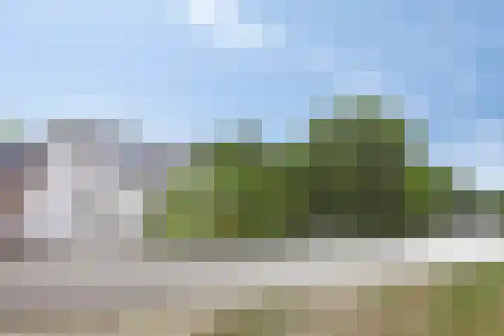 Leidsestraatweg 8 Harmelen thumbnail 43