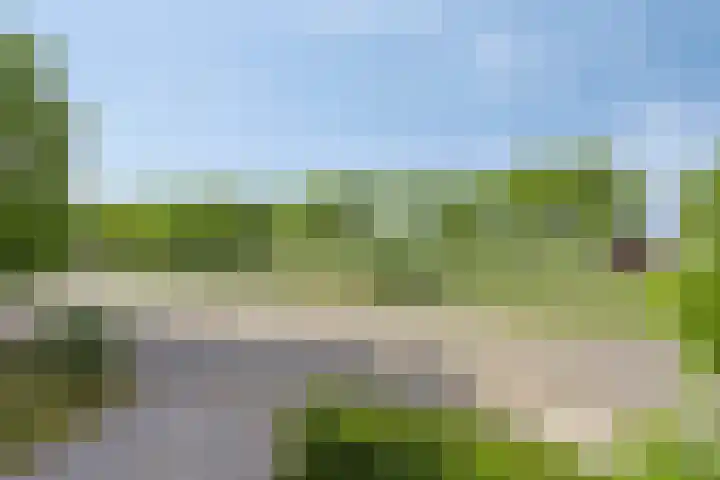 Leidsestraatweg 8 Harmelen thumbnail 50