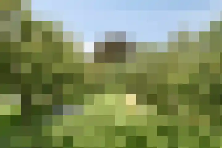 Leidsestraatweg 81 Harmelen thumbnail 35