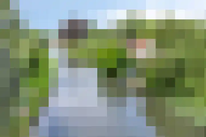Leidsestraatweg 81 Harmelen thumbnail 64