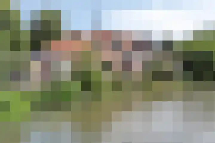 Leidsestraatweg 81 Harmelen thumbnail 68