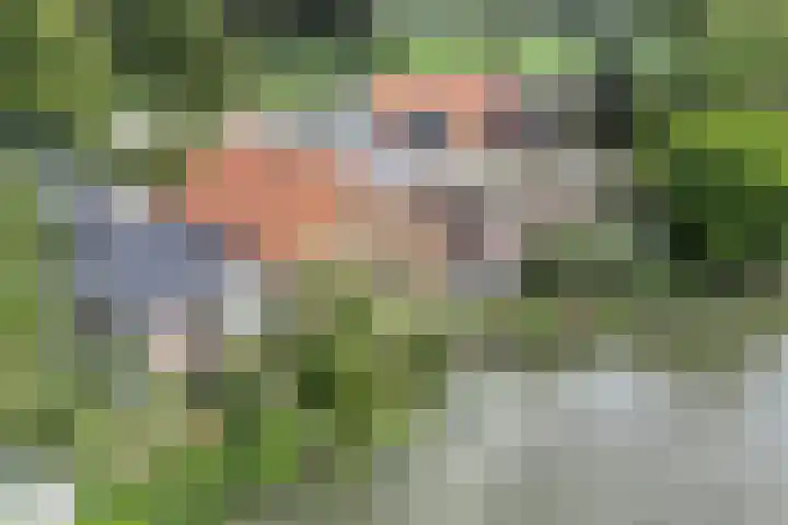 Leidsestraatweg 81 Harmelen thumbnail 69
