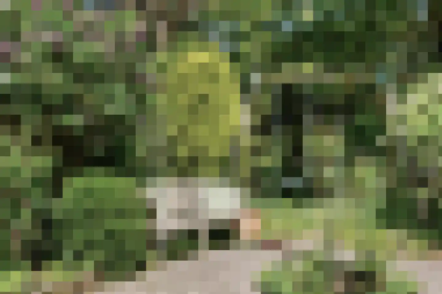 Leidsestraatweg 9 Oegstgeest thumbnail 30