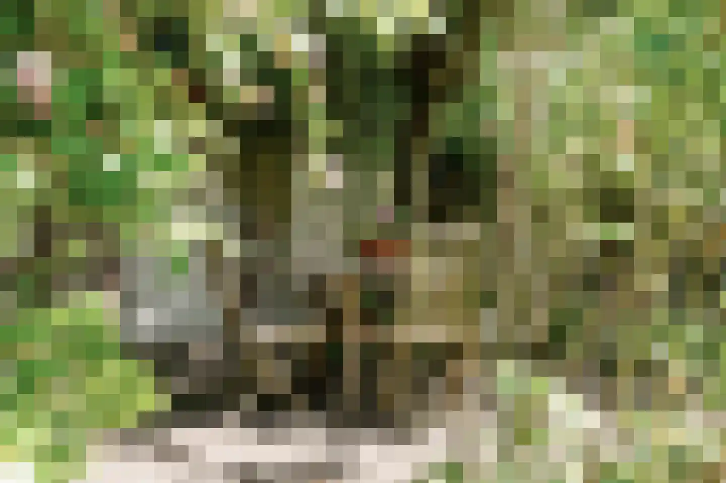 Leidsestraatweg 9 Oegstgeest thumbnail 39