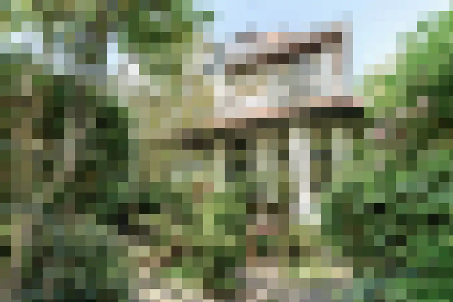 Leidsestraatweg 9 Oegstgeest thumbnail 7
