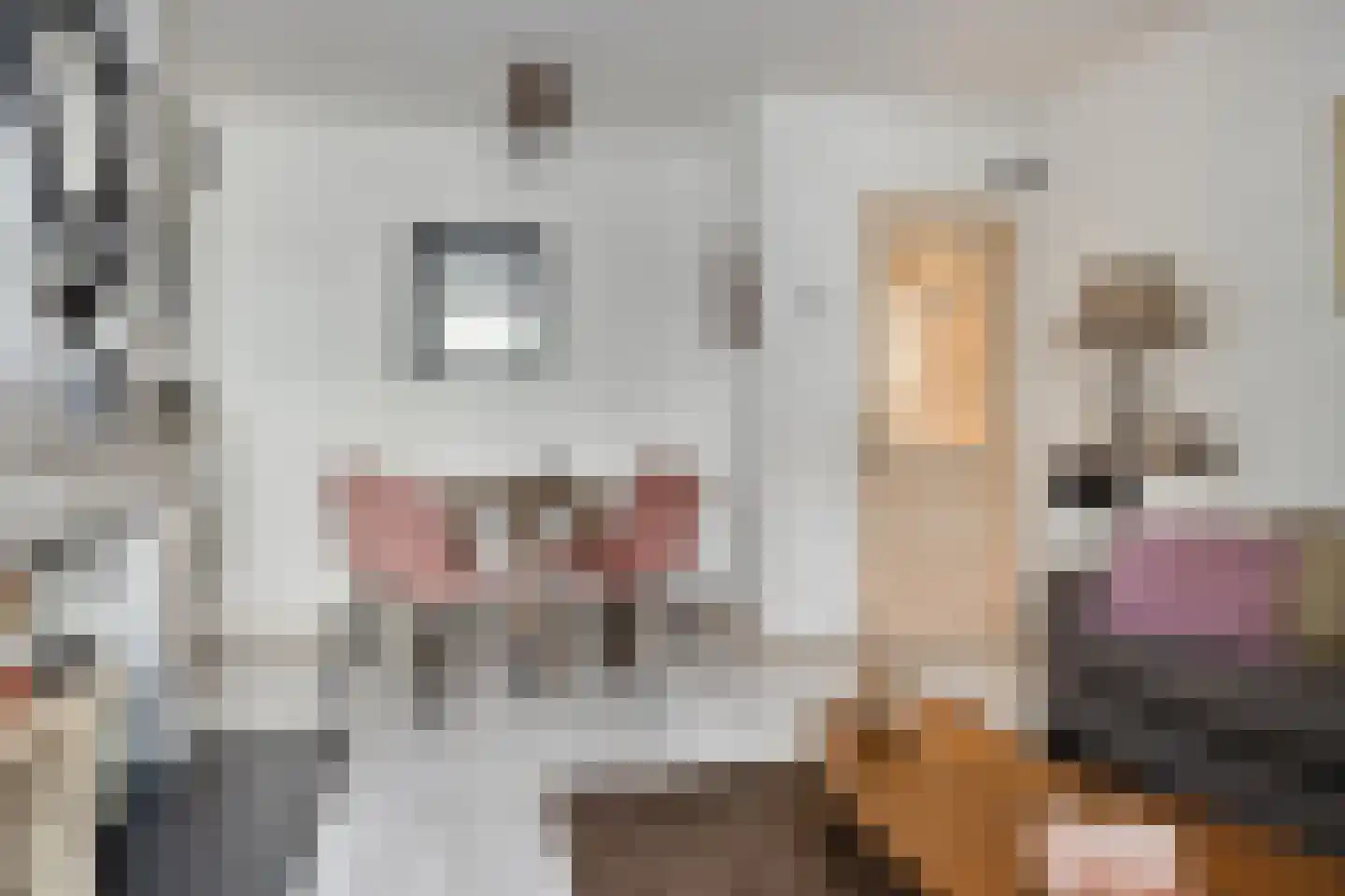 Leidsestraatweg 95 Woerden thumbnail 7