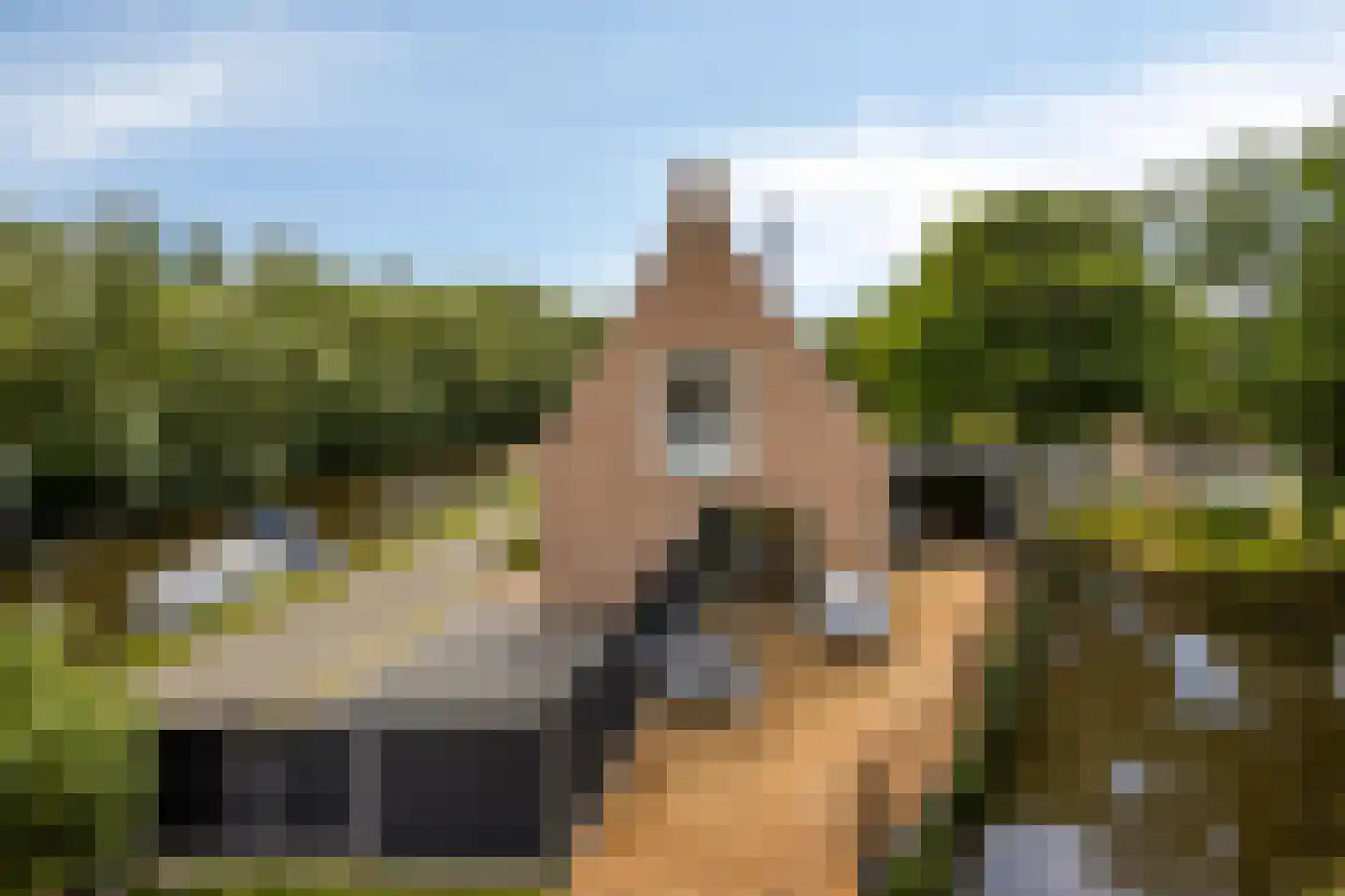 Leidsevaart 108 Noordwijkerhout thumbnail 11