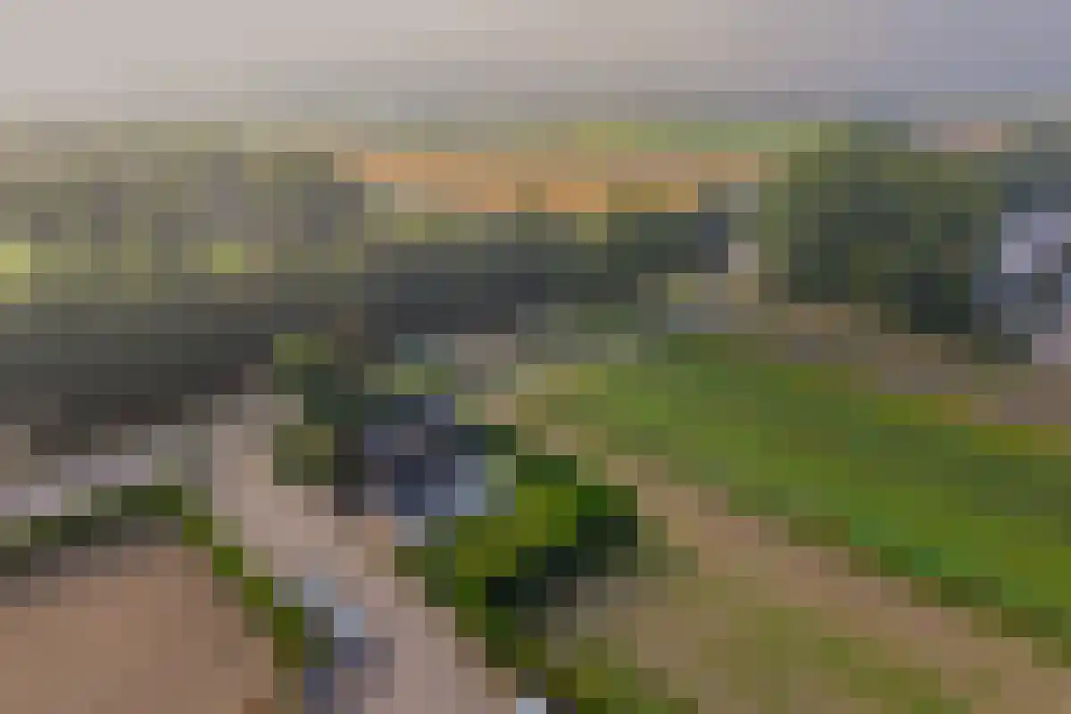 Leidsevaart 116 Noordwijkerhout thumbnail 6