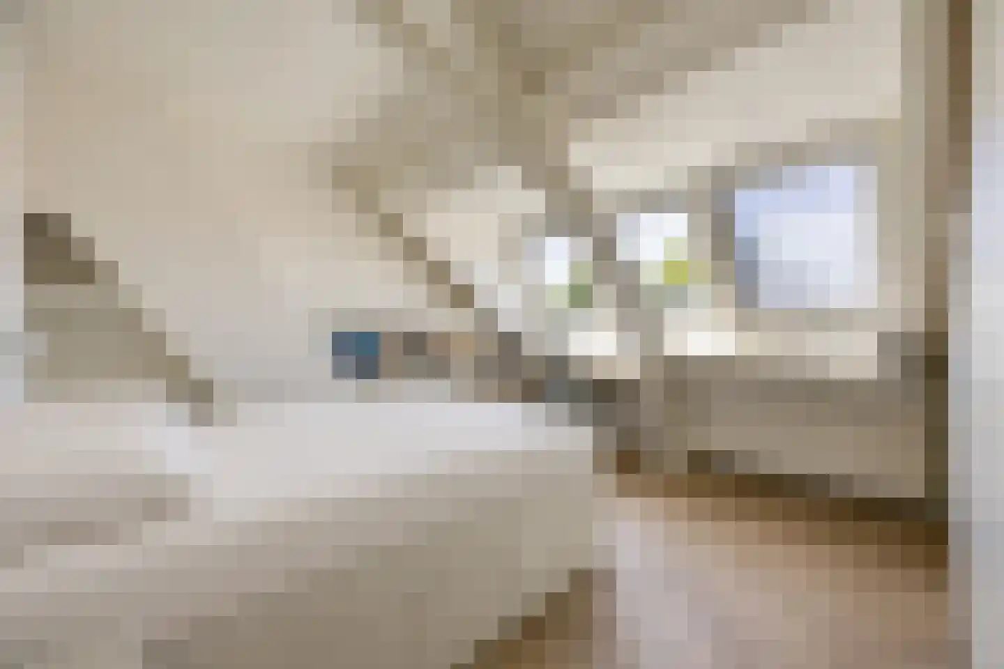 Leidsevaart 126 Haarlem thumbnail 30