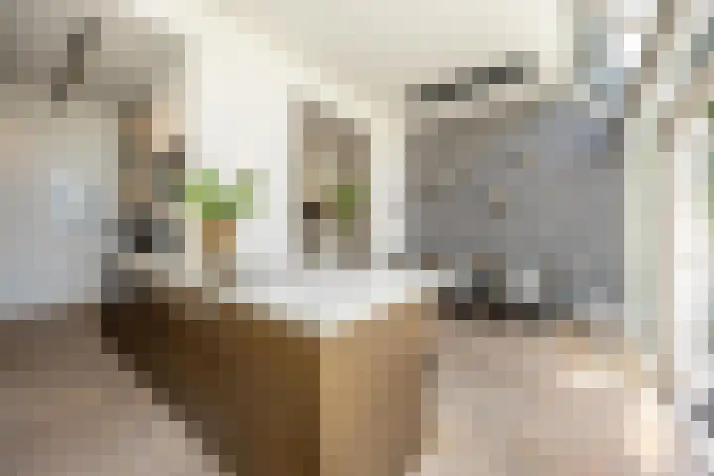 Leidsevaart 126 Haarlem thumbnail 8