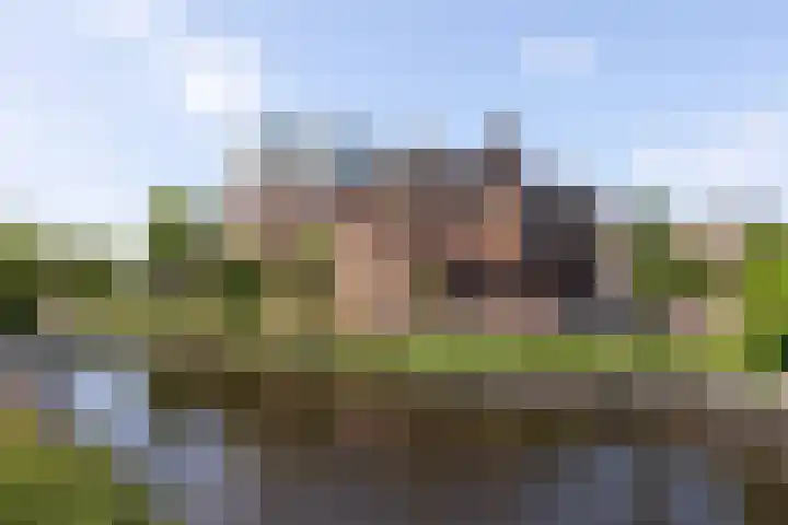Leidsevaart 134 A Haarlem thumbnail 36