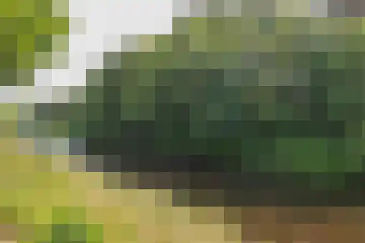Leidsevaart 158 Vogelenzang thumbnail 33