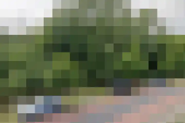 Leidsevaart 158 Vogelenzang thumbnail 34