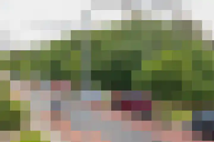 Leidsevaart 158 Vogelenzang thumbnail 35